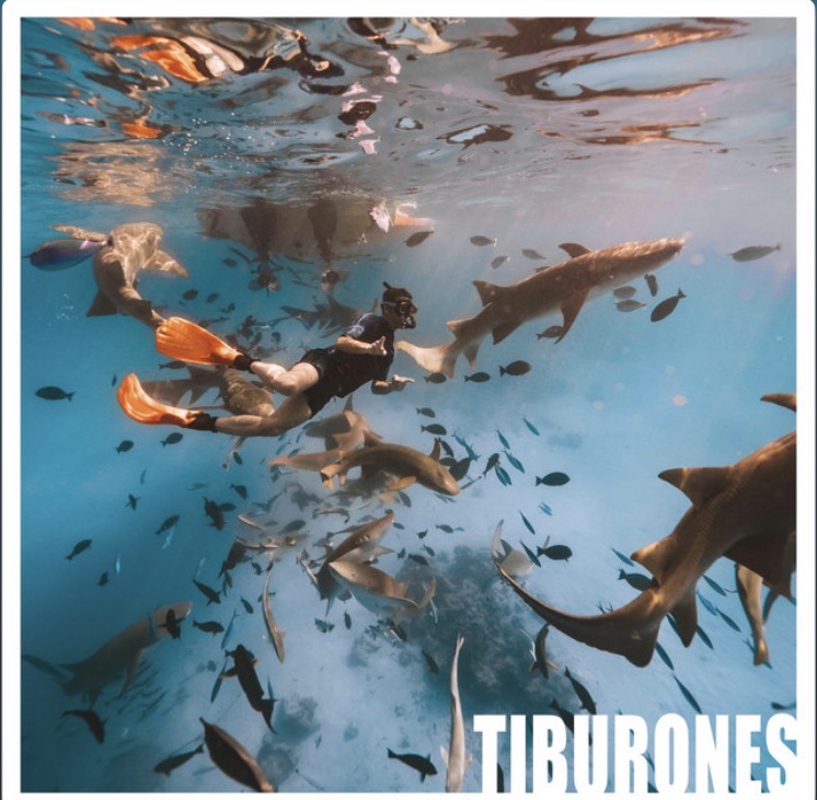 Tiburones